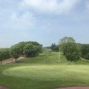 드림 골프클럽 이미지