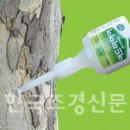 진주사 이미지