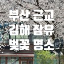 대청 계곡길 이미지