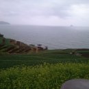 바닷가 풍경 이미지