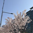 한천로105길 | 강북구 n년차 취준생 단기간에 영어실력 올리다..