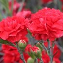 착한공인중개사사무소 이미지