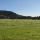 영은목장 이미지