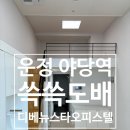 디베뉴스타 | 파주 운정신도시 야당동 디베뉴스타 벽 실크도배 시공