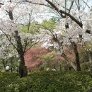 포항시남구4 이미지