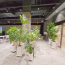 최고스크린골프 이미지