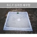 호반낚시 이미지
