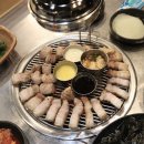 까망돼지 이미지