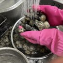 삼해수산 | 참바지락 전문 삼해수산 바지락 후기 – 국산 세척바지락으로 만든 바지락 술찜