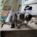 그루밍 타임 이미지