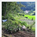 덕현농장 이미지