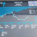 복지1리(남) Daum카페