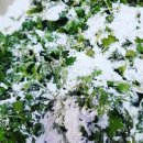 경산(서울) 이미지