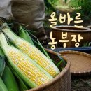 손병곤 농장 이미지