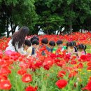 백조호수공원 이미지