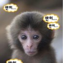 가상순커피