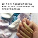 손톱마녀 이미지