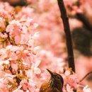 몸사랑농장 이미지