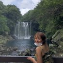 제주팡스테이 이미지