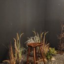 석촌고분역1번출구(뒤) 이미지