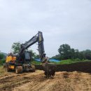 내포비료 이미지