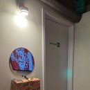 아웃독(OUT DOG) | 성수 도그아웃 성수점 미국식 수제 핫도그 떙길 때 가는 성수동 핫플