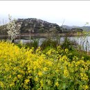 도안농장 이미지