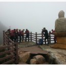 창녕 화왕산 진달래꽃 산행 4월13일(토) 이미지