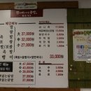 예의바른족발 네이버블로그