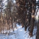 수원목장 이미지