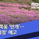 황매산 철쭉축제 경남 합천 황매산 철쭉 개화시기 봄꽃축제 이미지