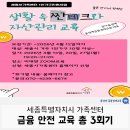금융안전 | 세종특별자치시 가족센터,1인 가구 금융 안전 교육 후기 총 3회기 (윤성애 금융경제교육)