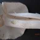 오월에윤 이미지