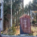 매봉산 유아숲체험원 | [경남/사천] 아이랑 가볼 만한 곳 사천케이블카자연휴양림 유아숲체험원 숲놀이터 후기