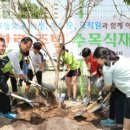하늘초등학교 이미지