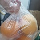 다안세탁 이미지