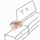 신점보고와서 악몽꾼 얘기 해줄까..? 이미지