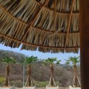 코스타리몬 이미지