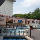 연화산반딧불이캠핑장 이미지