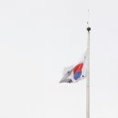 코스모스장 이미지