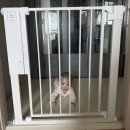 유아 안전문 추천, 자동으로 열리는 실버팍스 하이패스 안전문 후기