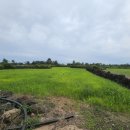 제주도부동산랜드공인중개사사무소 이미지