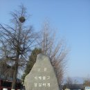우송정 이미지
