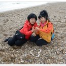 폭탄머리 이미지