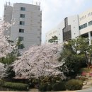 부산가톨릭대학교 이미지