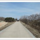 강변길 북천 이미지