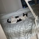 밤새우리 | 성수에서 새벽 4시까지 밤새우리 후기 (성수 뚝섬 술집, 노래방까지)