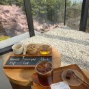 푸바오애견 이미지