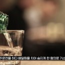 DJ음주운전 사망사고 피해자도 책임이 있다 이미지