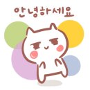 인제수치과 네이버블로그